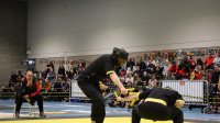 IMG_3381.JPG